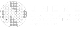 UNENE - University Network of Excellence in Nuclear Engineering